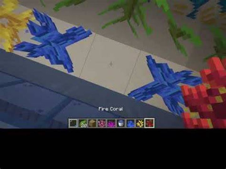 How to keep fish alive in minecraft
