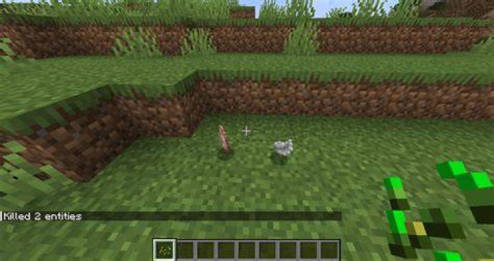 How to kill all animals in minecraft