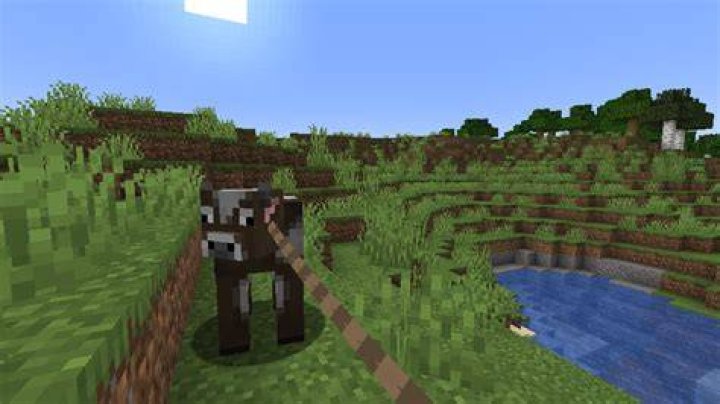 How to lead a cow minecraft