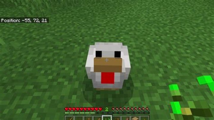 How to lure a chicken in minecraft