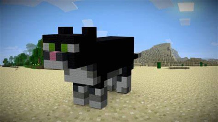 How to make a cat in minecraft