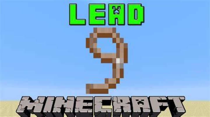 How to make a lasso minecraft