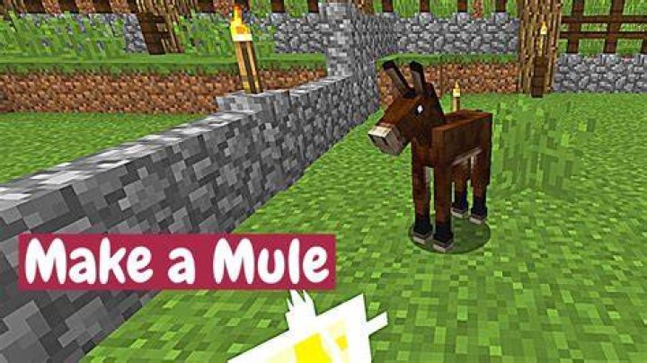 How to make a mule in minecraft