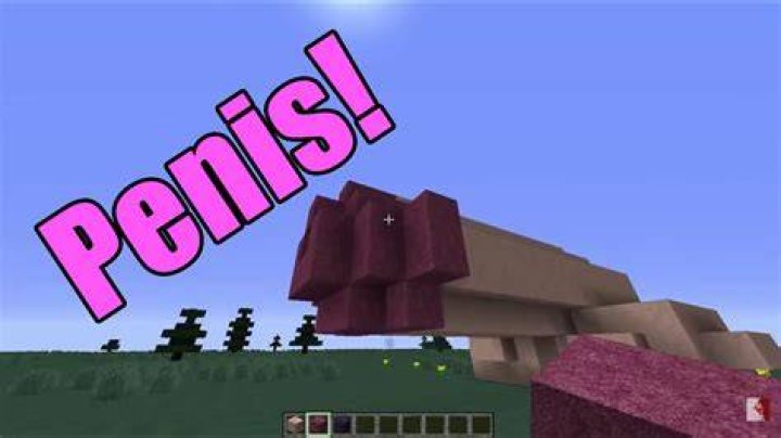 How to make a penis in minecraft