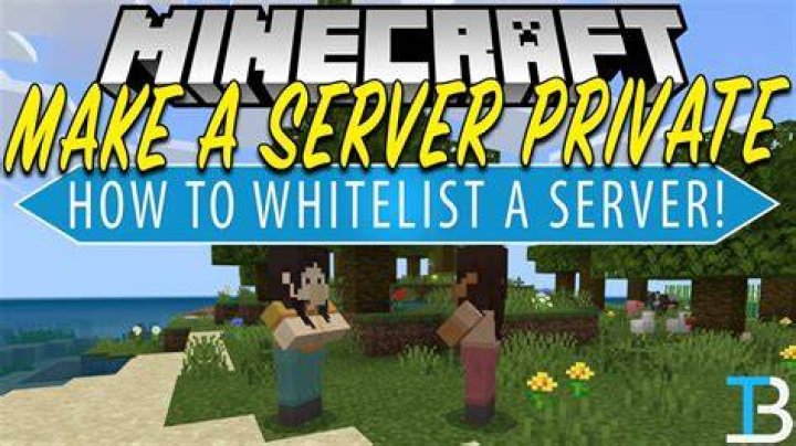 How to make a whitelist minecraft server