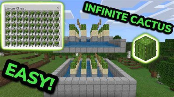 How to make cactus grow faster minecraft