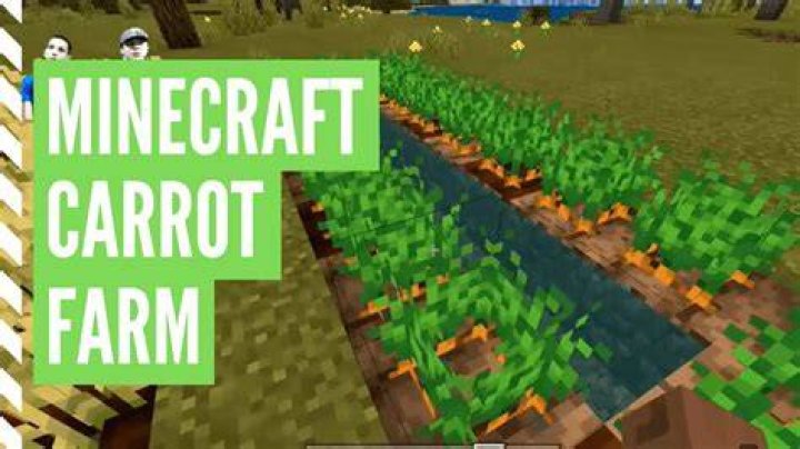 How to make carrot seeds in minecraft