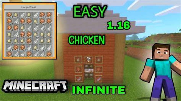 How to make chickens grow faster minecraft