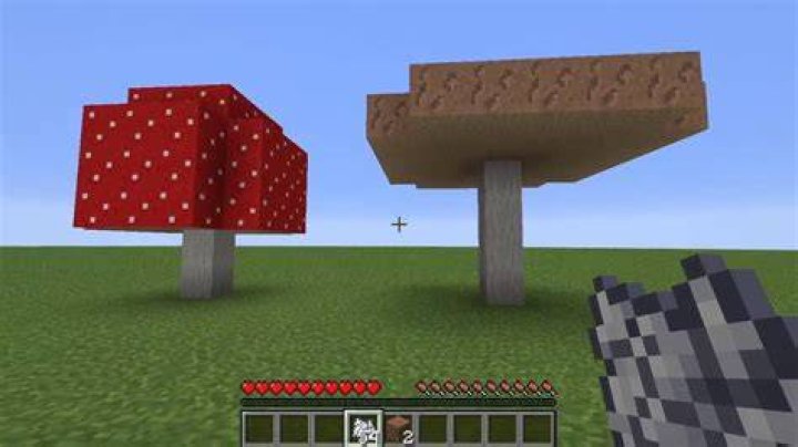 How to make giant mushrooms in minecraft