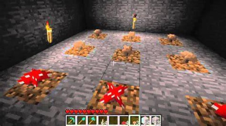 How to make mushrooms grow in minecraft