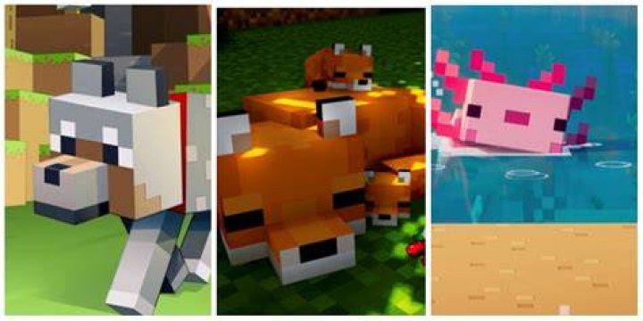 How to make pet in minecraft