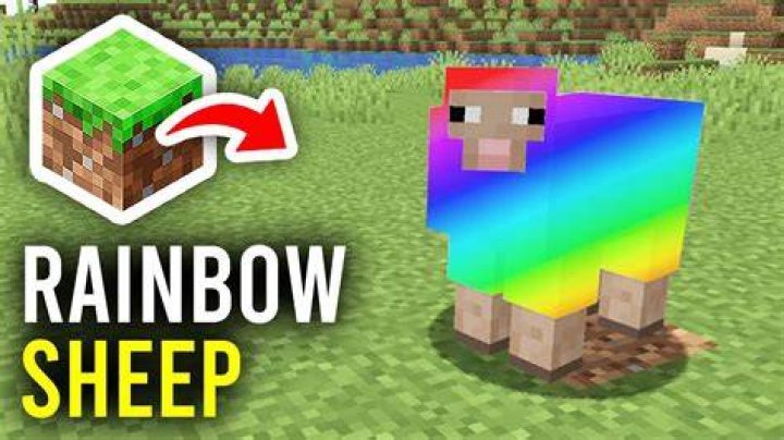 How to make rainbow sheep in minecraft