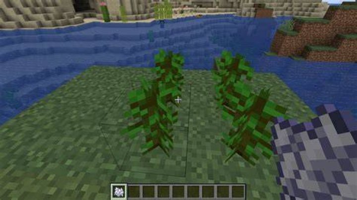 How to make saplings grow in minecraft