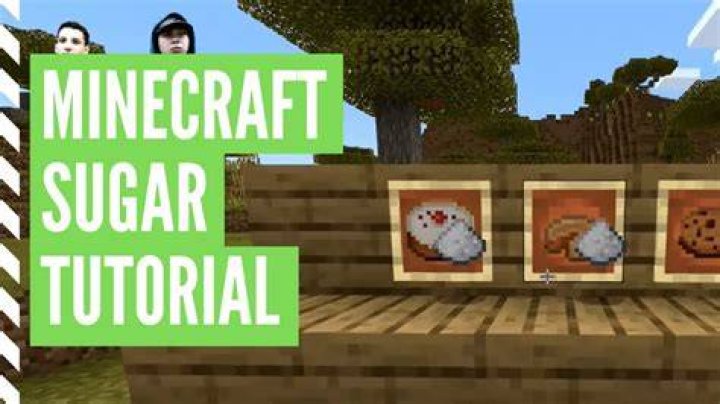 How to make sugar on minecraft