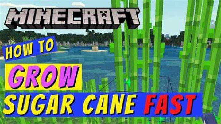 How to make sugarcane grow in minecraft
