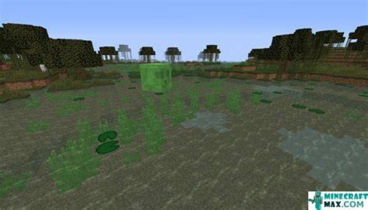 How to make swamp water in minecraft