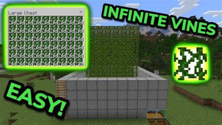 How to make vines grow in minecraft