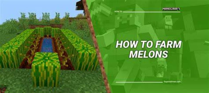 How to make watermelons in minecraft