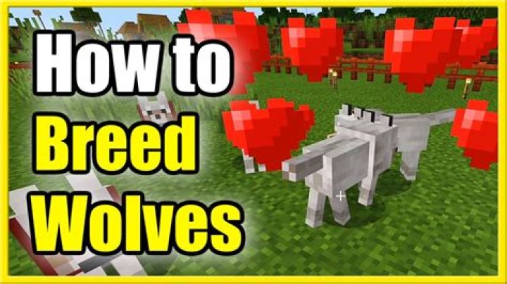 How to make wolves breed in minecraft