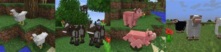 How to move animals in minecraft