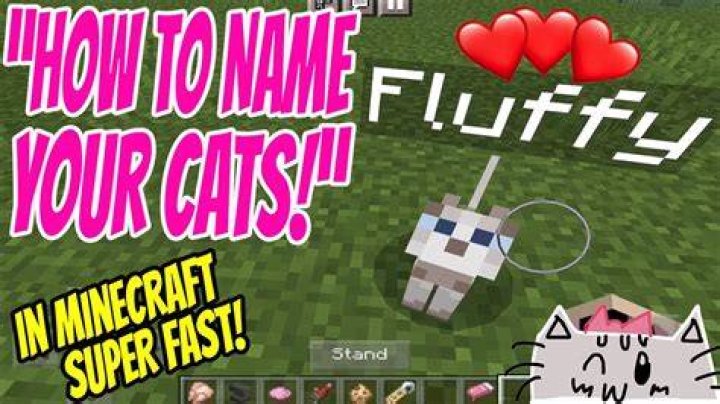 How to name a cat in minecraft