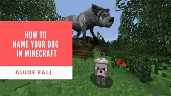 How to name a dog in minecraft
