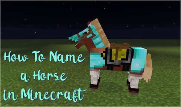 How to name a horse in minecraft