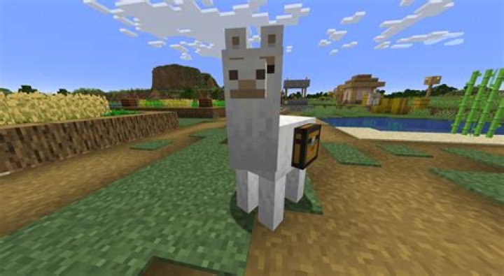 How to name a llama in minecraft