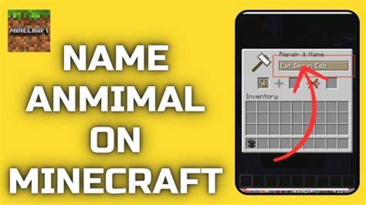 How to name animals in minecraft pe