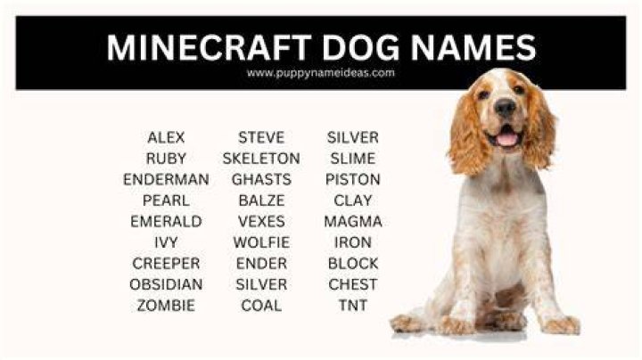 How to name dogs in minecraft