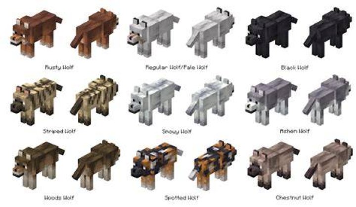How to name wolves in minecraft