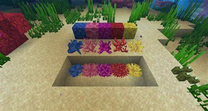 How to pick up coral in minecraft