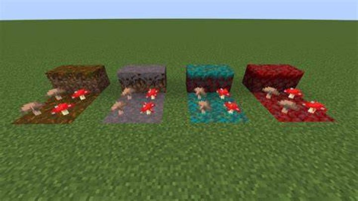 How to plant a mushroom in minecraft