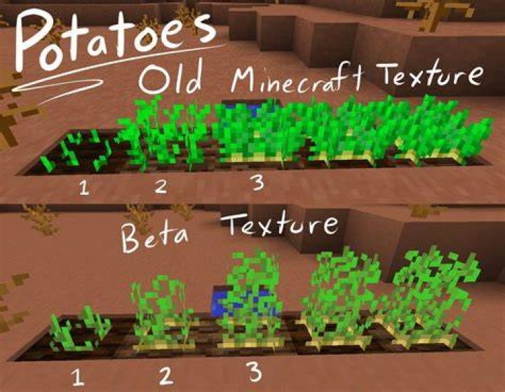 How to plant a potato in minecraft