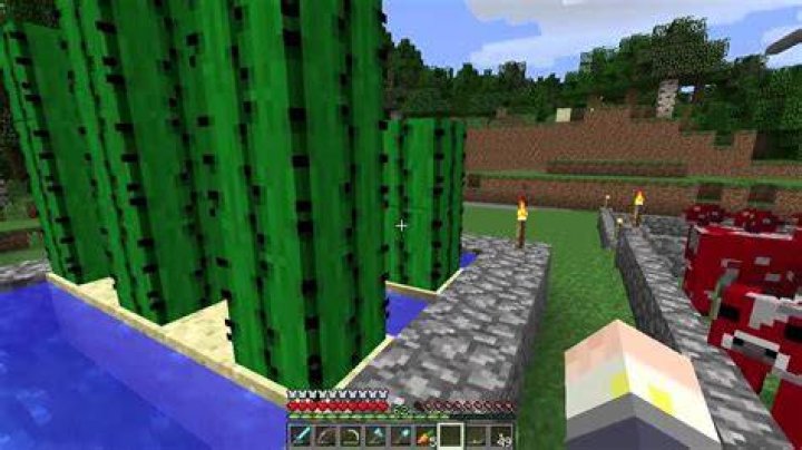 How to plant cactus in minecraft