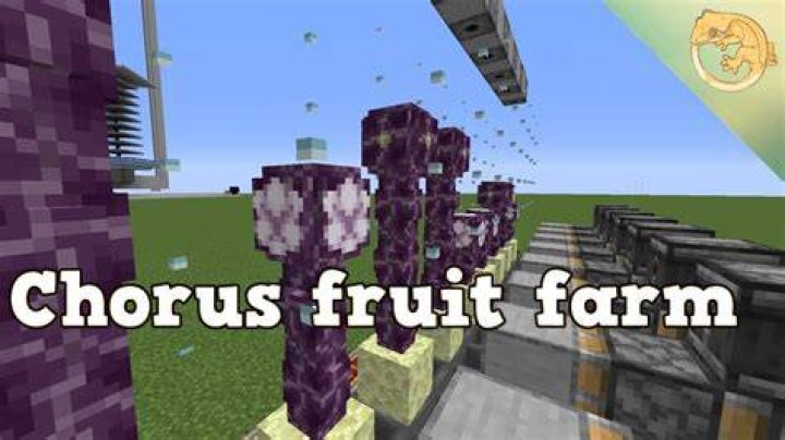 How to plant chorus fruit minecraft