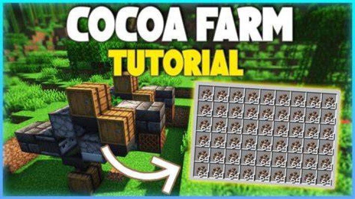 How to plant cocoa beans in minecraft