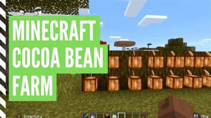 How to plant cocoa seeds minecraft