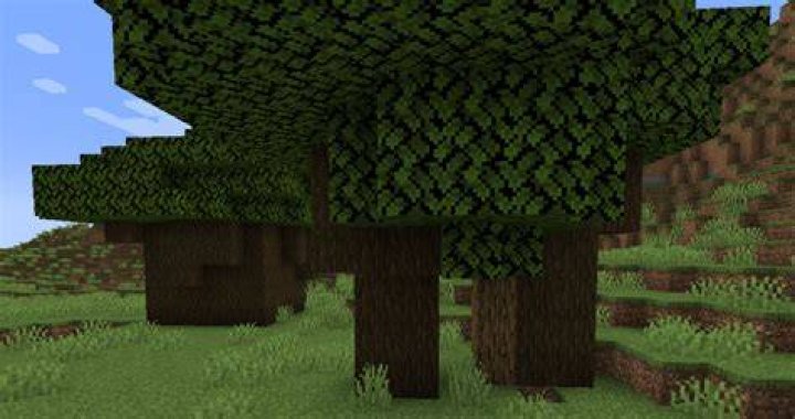 How to plant dark oak trees minecraft
