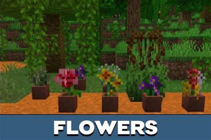 How to plant in minecraft pe