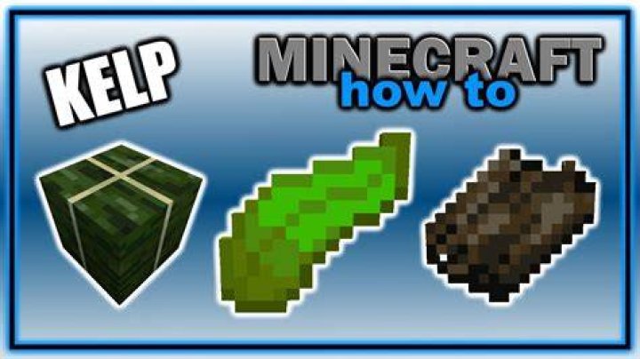 How to plant kelp in minecraft