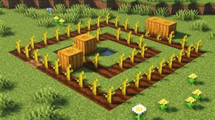 How to plant pumpkin seeds minecraft