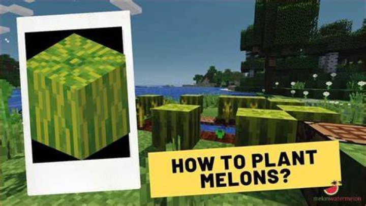 How to plant watermelons in minecraft