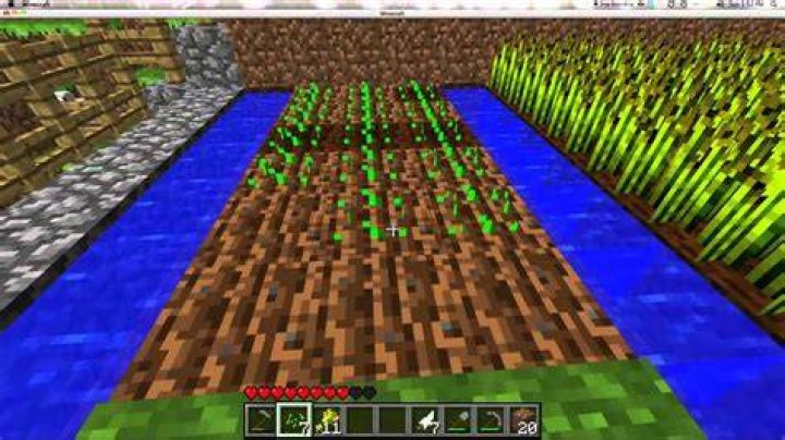 How to plant wheat in minecraft pe
