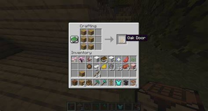 How to put a door in minecraft