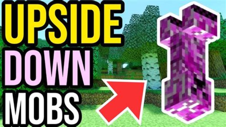 How to put things down in minecraft