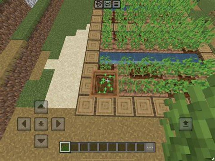 How to regrow grass in minecraft