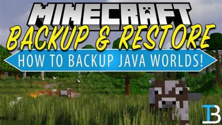 How to restore minecraft world from backup