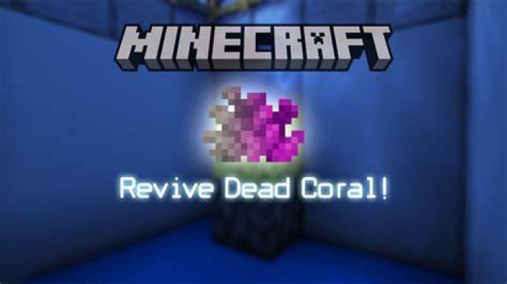 How to revive coral in minecraft