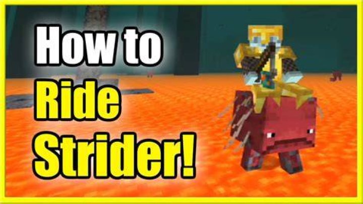 How to ride a strider in minecraft